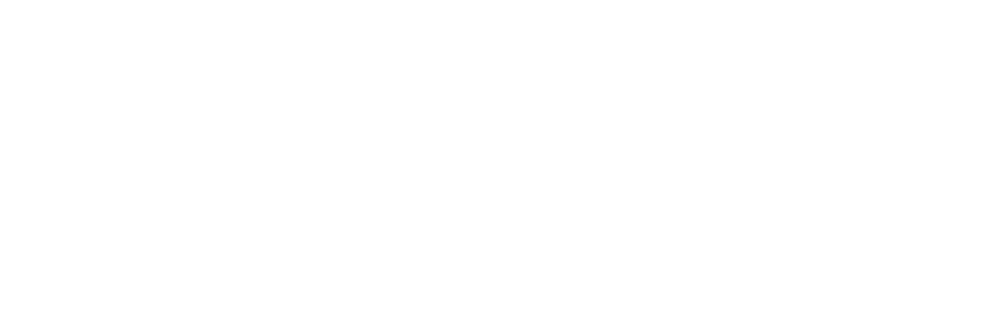 Curious Pundits Podcast